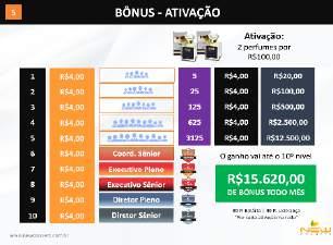 bônus de equipe, bônus de binário e bônus de liderança.