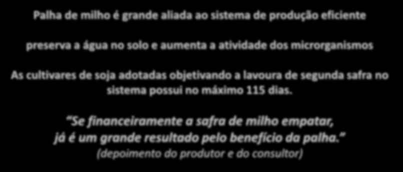 de segunda safra no sistema possui no máximo 115 dias.