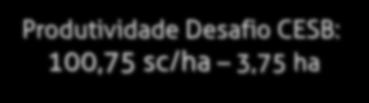 primeira e segunda geração da Família Zanella.