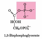 gliceraldeído 3P desidrogenase GA3P + H 2 O 3 PGA + NADH +