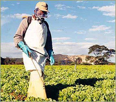 NR 31 - Segurança e saúde no trabalho na agricultura, pecuária silvicultura, exploração florestal e aquicultura Aplica-se a quaisquer atividades da