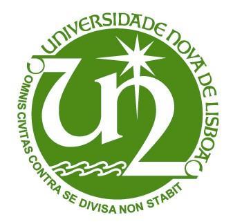 Nuno Manuel Neves Pinto Campos Licenciado em Ciências da Engenharia Civil Porto de Sines Estudo do Modelo de Ordenamento Dissertação para obtenção do Grau de Mestre em Engenharia Civil Perfil de