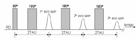 62 reduz a zero (ΔФ=0). A amplitude deste sinal, chamado de eco de spin (ou eco de Hahn), não depende mais de T2*, apenas de T2.