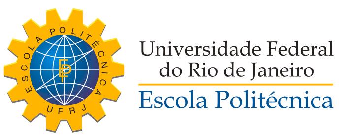 APLICABILIDADE DOS DIFERENTES TIPOS DE COMPLETAÇÃO EM POÇOS TERRESTRES PRODUTORES DE GÁS NA BACIA DO PARNAÍBA Gustavo Arruda Gonçalves da Silveira Tamires Chavarry Penna Projeto de Graduação