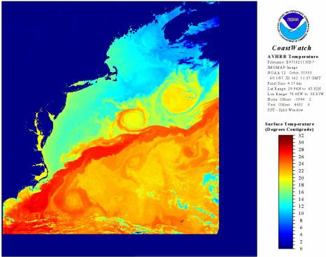 Produto CoastWatch de Temperatura da Superfície do Mar obtido com AVHRR. Região: Oceano Atlântico mar adentro da Costa Leste dos Estados Unidos.