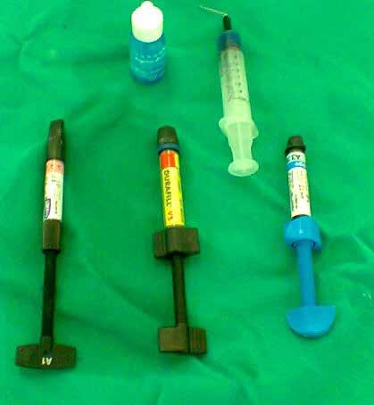Dentística (tubetes de resina, pincéis de pelo Marta e ácido), a partir de amostras coletadas nas clínicas de graduação do Departamento de Odontologia de uma universidade privada.