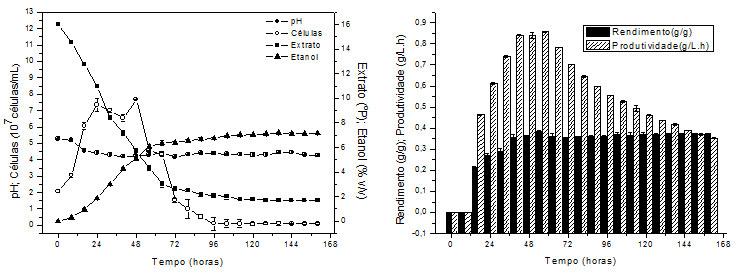 272 Figura 70 (A) Concentração de extrato (ºP), concentração de etanol (%v/v), crescimento celular (cel/ml) e ph e (B) Produtividade volumétrica e rendimento em etanol,