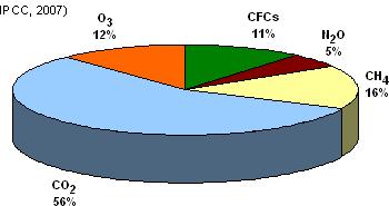 CONTRIBUIÇÃO DOS