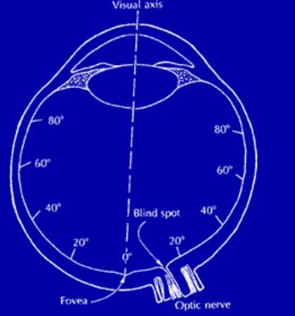 retina http://micro.