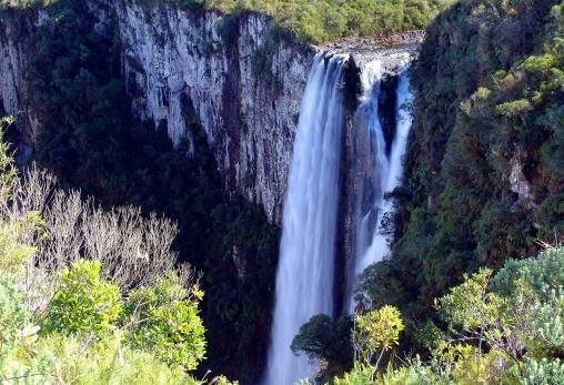 trilhas planas, num cenário de natureza exuberante, com raras espécies de vegetação