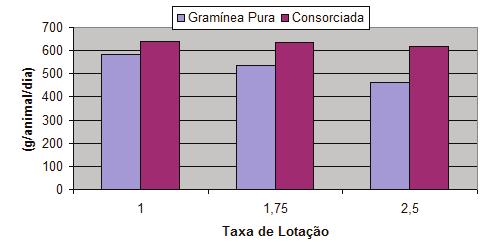 Assim, com maior disponibilidade de forragem de melhor qualidade, nas pastagens consorciadas com a referida leguminosa, há um aumento na capacidade de suporte, melhoria na produtividade de carne por