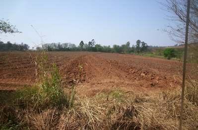 Como proteger o solo Para evitar que a erosão se inicie em uma área, é preciso proteger o solo e isso pode ocorrer por meio de várias ações, tais como: não deixar o solo descoberto ( sem vegetação ou