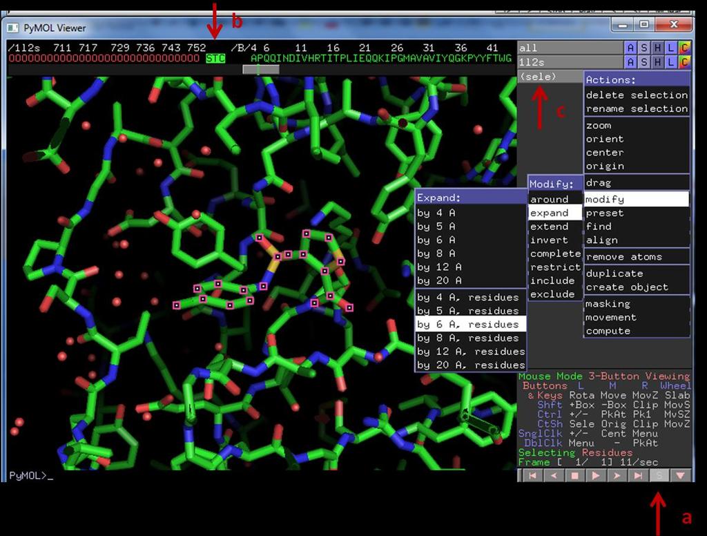 PARTE 1 PREPARANDO UMA FIGURA NO PYMOL 1. Abra a estrutura PDB 1L2S, um complexo da enzima β lactamase com um inibidor - Digite fetch 1L2S na linha de comando e dê enter. 2.