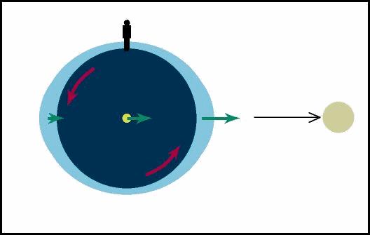 cada 24 h 48 min (que é a duração do dia lunar), separadas de aproximadamente 12 h 24 min, no mesmo ponto da Terra.