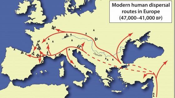 Neanderthais, tanto na captação de recursos, mas também uma concorrência cognitiva, linguística e demográfica, que resultou na extinção dos Neanderthais. Fig.