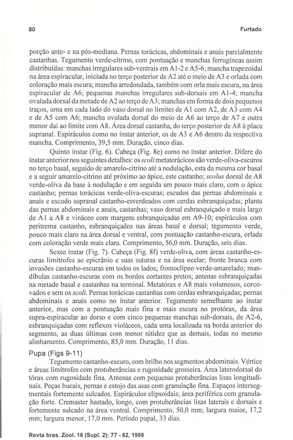 Revta bras. Zool. 16 (Supl. 2): 77-82, 1999 80 Furtado porção ante- e na pós-mediana. Pernas torácicas, abdominais e anais parcialmente castanhas.