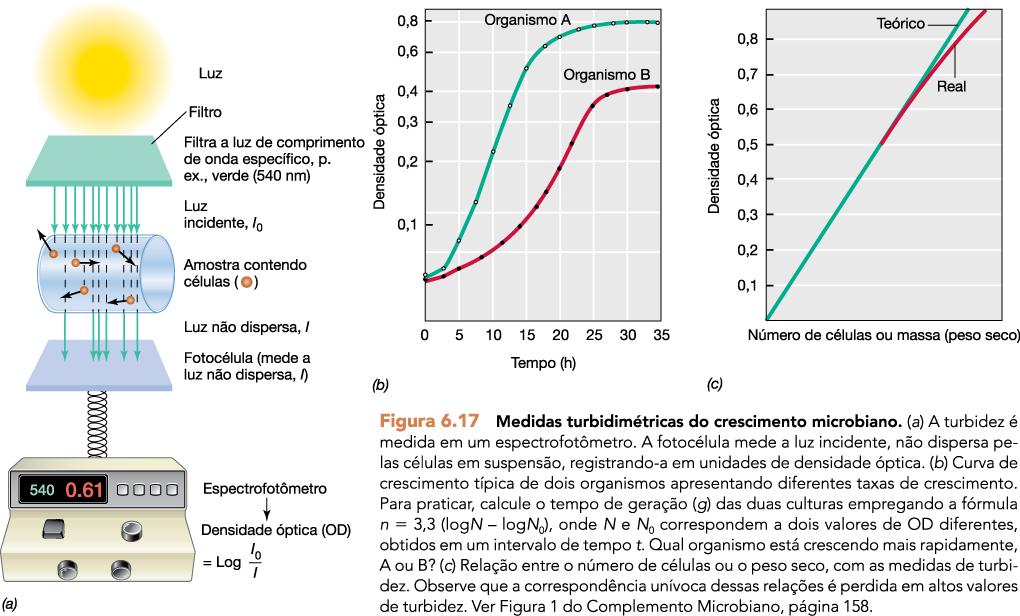 Crescimento de populações