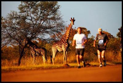 DE 6 DIAS / 5 NOITES 22 A 27 DE JUNHO DE 2017 Pacote terrestre inclui: 5 noites no Hotel Legend Golf & Safari Resort 5*