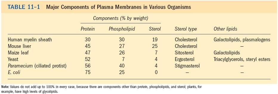 Composição: Lípidos (anfipáticos); Proteínas; Glícidos: Sob a