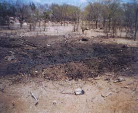 vegetação mais densa e onde o solo está mais preservado, demonstrando um processo avançado de desertificação com o risco da área de se tornar um grande