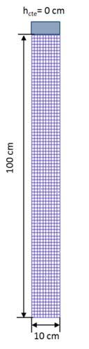 50 Figura 3.6- Geometria e discretização para a validação de fluxo não saturado.