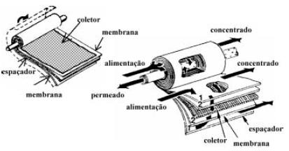 disposição.