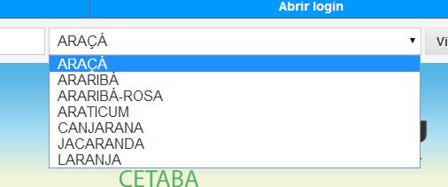 abrir alguns campos estão com a opção ver mais, clique nos mesmos para expandir o texto; Caso