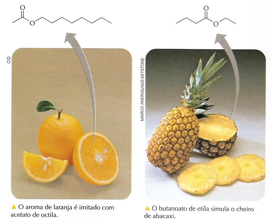 CLASSE FUNCIONAL ÉSTER