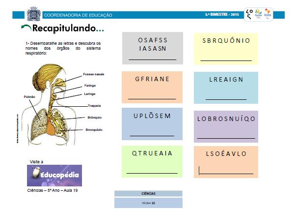 81 Título: Sistema Respiratório (Explicação com textos e imagens sobre o esquema que compões o Sistema respiratório). Página 10 Páginas 11 a 14: Experiências. A professora pulou essa parte.