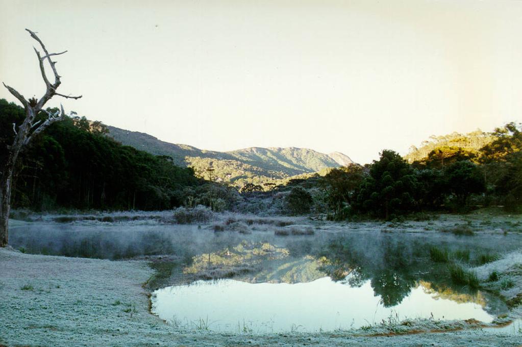 202 FIGURA 18 Geada em Monte Verde Fonte: AHPMV, 2008.