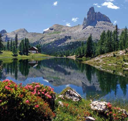 VIAS DE ACESSO AOS MONTI PALLIDI Os refúgios, lugares acolhedores para comer e beber algo, são as metas ideais para viver a montanha nos terraços panorâmicos de alta quota.