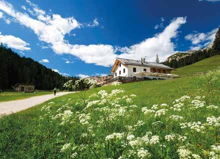 CRODA ROSSA E PARQUE NATURAL DAS DOLOMITAS D AMPEZZO No interior do Parque Natural das Dolomitas d'ampezzo encontramos o Refúgio Malga Ra Stua (1668 m), alcançável tanto a pé quanto com um serviço de