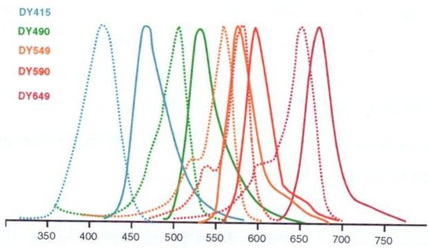 Materiais e Métodos A última hibridação (Etapa C) incluiu oligonucleotídeos específicos para as regiões centroméricas dos cromossomos 2 em Spectrum Green, 4 em Spectrum Red, 6 em Spectrum Aqua e 12
