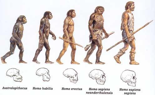 PALEOLÍTICA INFERIOR CERCA 2 500