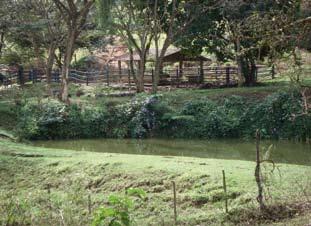 grandes propriedades de então, supõe-se que estas águas deveriam pertencer à antiga Fazenda