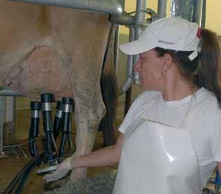32 3.3 Mão de obra utilizada na produção de leite Quanto à mão de obra permanente utilizada na