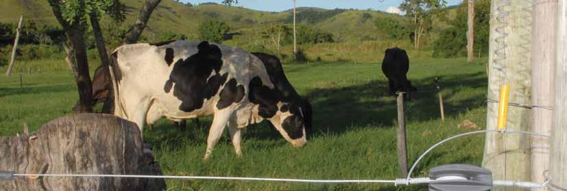DIAGNÓSTICO DA CADEIA PRODUTIVA DO LEITE DO ESTADO DO RIO DE JANEIRO 63 3.7 Condicionantes da produção de leite 3.7.1.