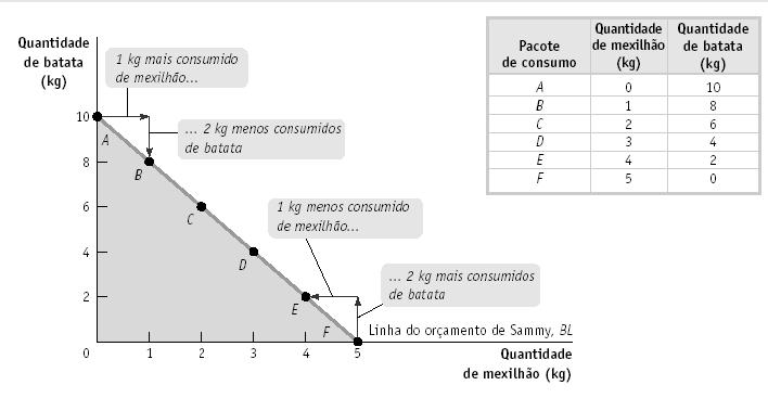 A LINHA ORÇAMENTÁRIA (KRUGMAN& WELLS CAP.