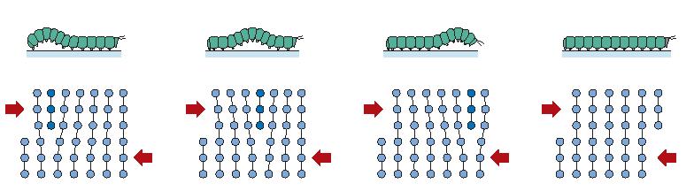 DEFEITOS LINEARES - DISCORDÂNCIAS Representação da analogia entre os movimentos de uma lagarta e