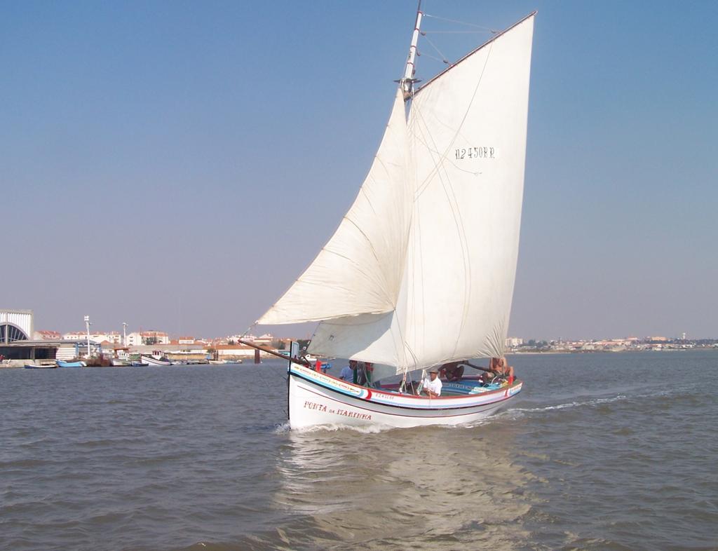 Classe: Canoa Proprietário: Associação Naval Sarilhense Arrais: José António