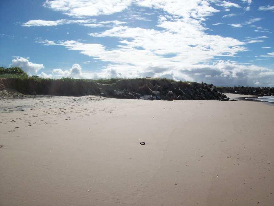 135 8.3. SITUAÇÃO DAS PRAIAS NO PERÍODO DE 2011 A 2012 Em setembro de 2011, foi verificada a ocorrência de novos eventos erosivos na praia dos Artistas (próximo ao perfil 1) com exposição da obra de