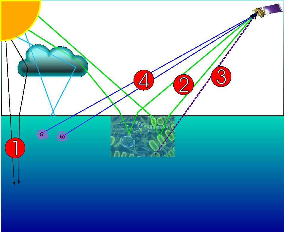 A Cor dos Oceanos Teoria O que Influi na Luz no Oceano?