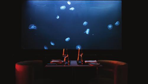 O resultado final não poderia ter sido melhor pois os aquários de medusas do Restaurante Largo vieram desde a primeira