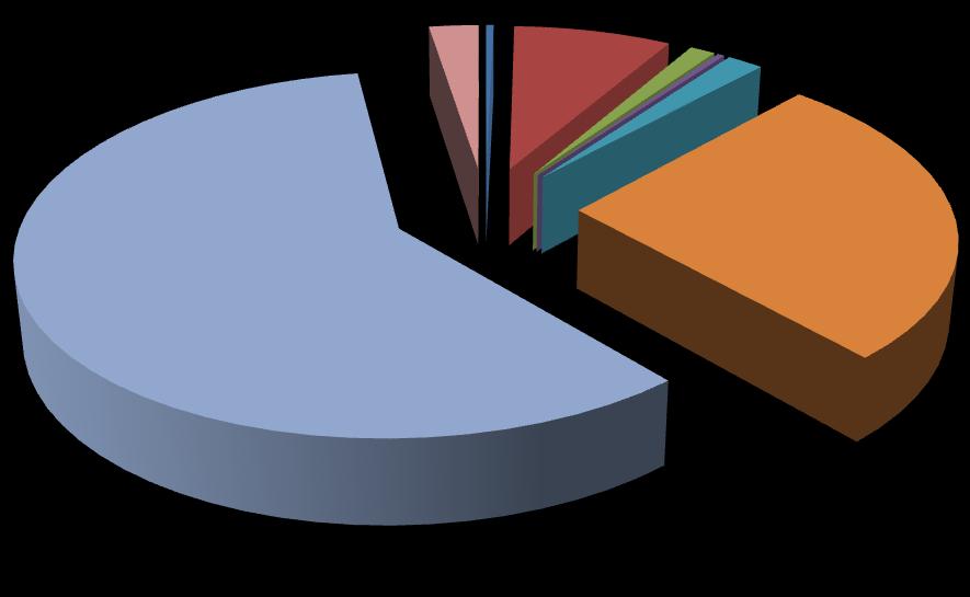 Gráfico 5 Principais produtos produzidos de acordo com a área plantada (em hectares), 2009.