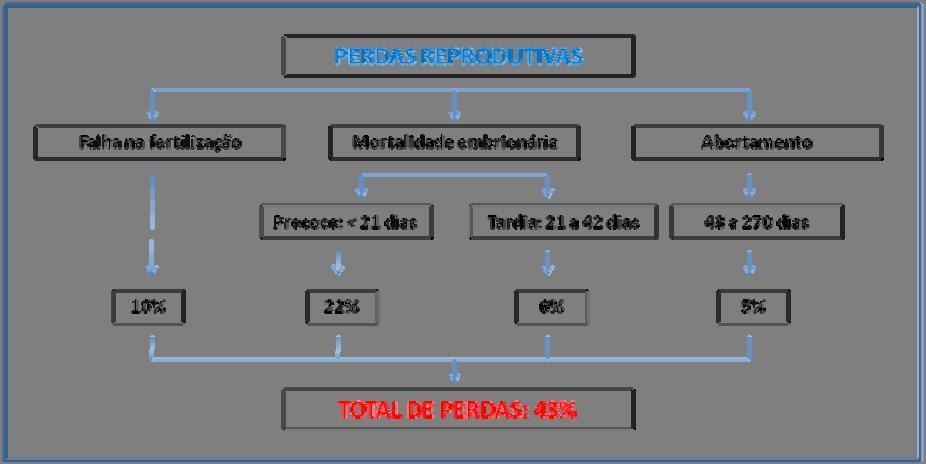 10 desenvolvimento e a função embrionária, a implantação e o conseqüente crescimento fetal (THATCHERA et AL.