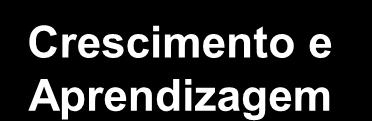 Serviços Estratégia ( Visão e Missão) Para satisfazermos os clientes, em que serviços deveremos alcançar a excelência na qualidade?