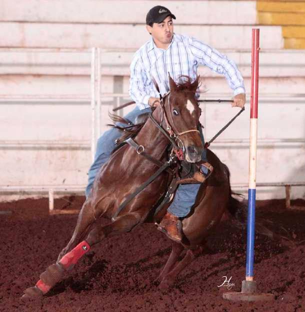 O CCOCT é composto por seis etapas e vem cada vez mais agregando competidores a participar da prova que foi uma união dos clubes hípicos para fortalecer e criar um campeonato próprio na Costa Oeste