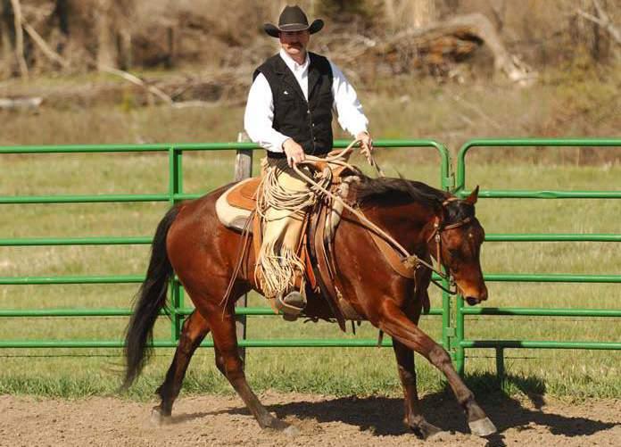 T&B PELO PAÍS UC realiza XII Encontro Internacional de Horsemanship De 26 a 28 de setembro com a participação de grandes nomes do cavalo em diversas áreas do segmento!