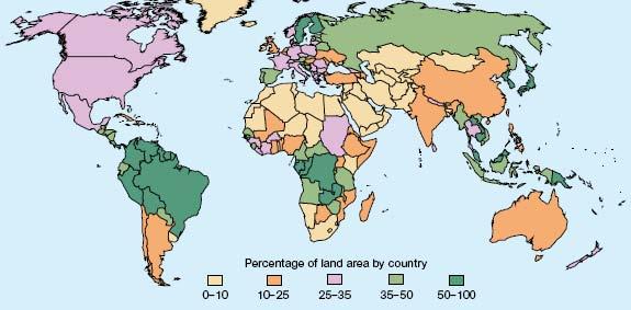 Fonte: State of the World s Forests, FAO, 2007 Florestas