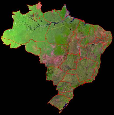 Florestas Brasil florestal Área total absoluta: 851 milhões de hectares; Florestas